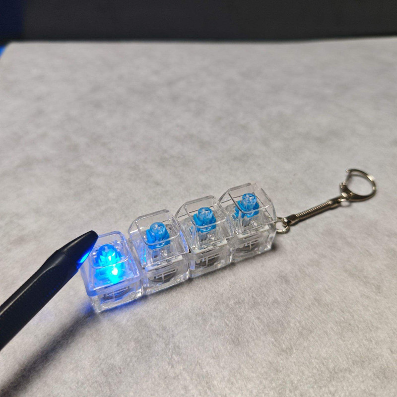 DARKFISH Keyboard switch display Key Chain