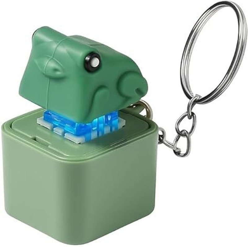 YCVARIYAENTERPRISE Frog LED Keychain with Sound Key Chain