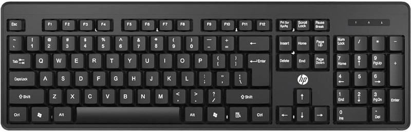HP 7J4G6AA#ACJ Wireless Standard Desktop Keyboard Compatible with Desktop, Laptop(Black)