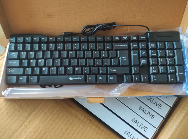 RAKESH PRO ALIVE Wired USB Standard Desktop Keyboard Compatible with Desktop(Black)
