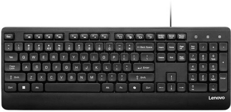 Lenovo 110 USB-A Wired Keyboard Wired USB Standard Desktop Keyboard Compatible with Desktop with Plug & Play USB Interface(Black)