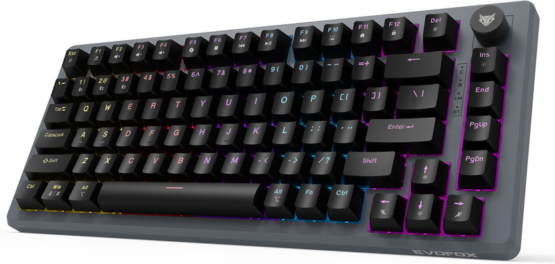EVOFOX Katana X2 TKL Tri-Mode (BT/2.4G/Wired) Red Switches and Dynamic Backliting Wireless Tenkeyless Gaming Keyboard Compatible with Desktop, Laptop, Tablet, Mac(Black)