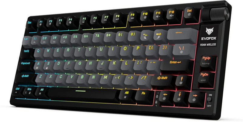 EVOFOX Ronin TKL RGB Mechanical Wireless Tenkeyless Gaming Keyboard Compatible with Desktop, Laptop, Mac(White)