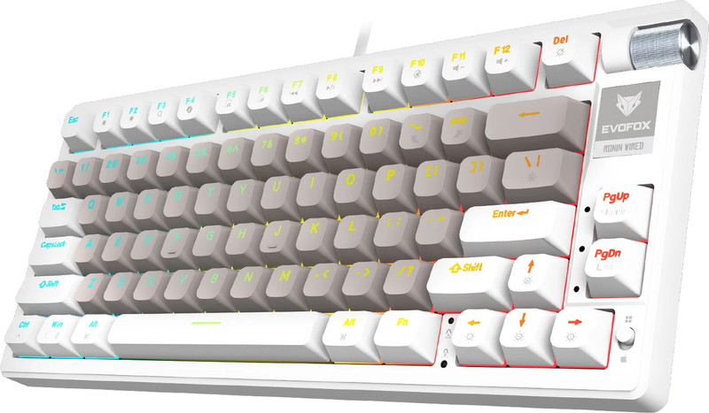 EVOFOX Ronin TKL RGB Mechanical Wired USB Tenkeyless Gaming Keyboard Compatible with Desktop, Laptop, Mac(White)