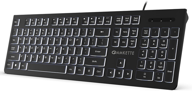AMKETTE Wi-Key Backlit Wired USB Standard Laptop Keyboard Compatible with Desktop, Laptop, Tablet, iPad, Mac multimedia_keys,Wi-Key Backlit(Black)