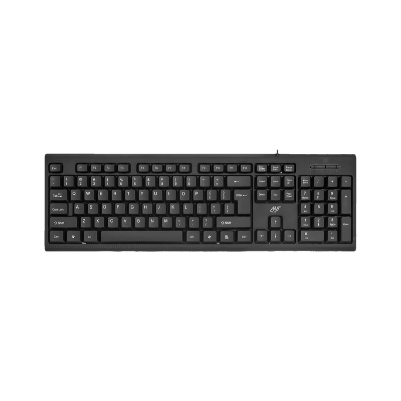 Ant Value FKBRI01 Wired USB Standard Laptop Keyboard Compatible with Desktop, Laptop, Mac Easy to Use,Plug and Play,Quick, Comfy Durable body(Black)