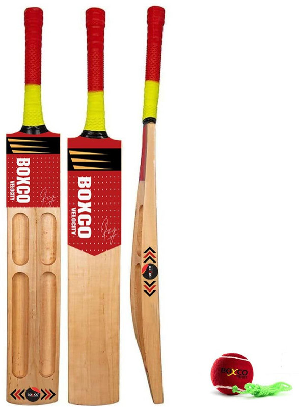 BOXCO Velocity Cricket Bat with Practice Tennis Ball, Wooden Bat, Hanging Ball Cricket Kit