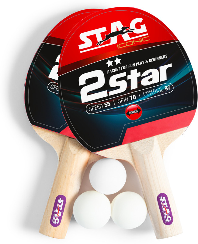 STAG 2 Star ANYWHERE Table Tennis playset Table Tennis Kit