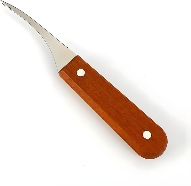 Wizbiz 1 Pc Stainless Steel Knife Shrimp Deveiner Tool Shrimp Thread Cleaner Knife Prawn Shell and Sea Food Peeler