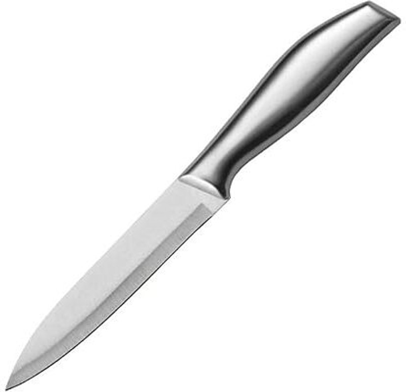 KESHUENTERPRISE Stainless Steel Kitchen Knife with Soft Touch Handles (CA/ silver/ pack of 1) Stainless Steel Fruit Knife(Pack of 1)