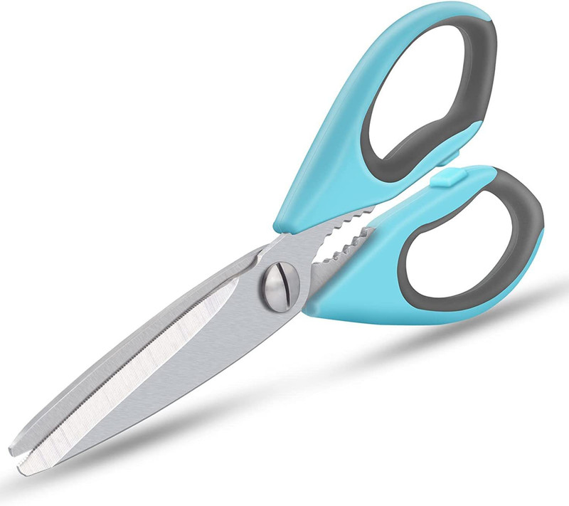The HSR Enterprises Stainless Steel All-Purpose Scissor(Blue)