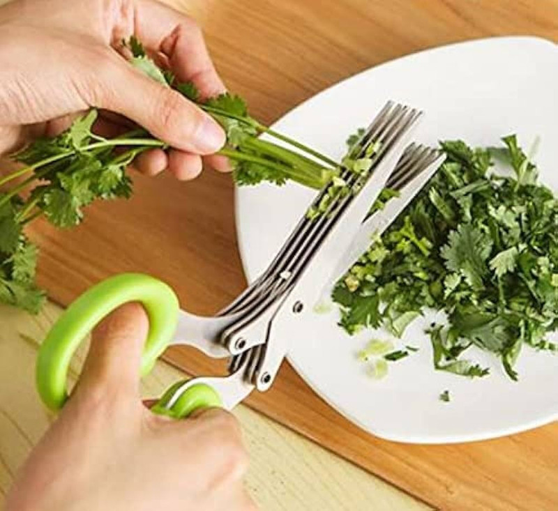 GKV Stainless Steel Herbs Scissor(Green, Pack of 1)
