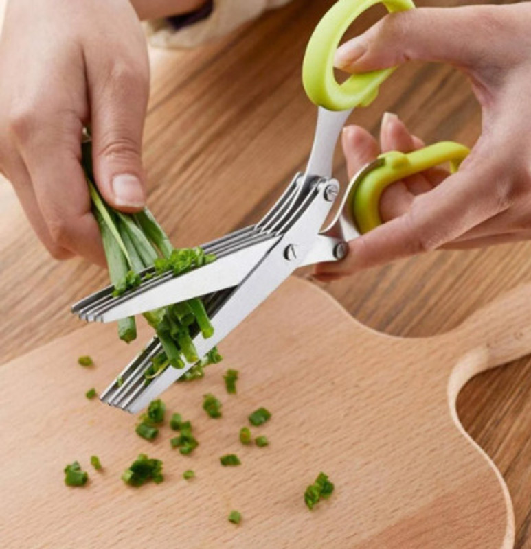 Fiveinone Stainless Steel Herbs Scissor(Multicolor, Pack of 1)
