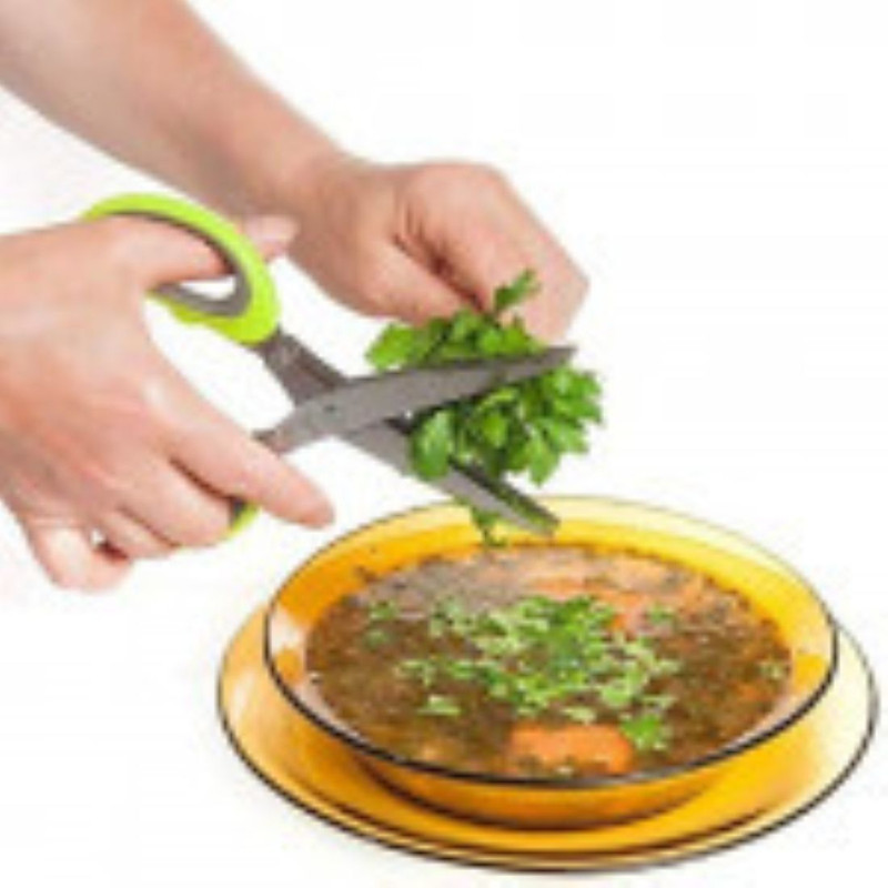 Calpix HerbCut 5-Blade Pro Steel Herbs Scissor(Multicolor, Pack of 1)