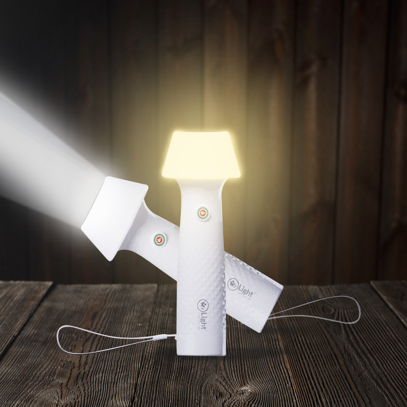 Mr.Light 2-in-1 Rechargeable Torch/Emergency Lantern, Li-ion, Type-C, for Gifting Multicolor Plastic Table Lantern(16.5 cm X 7 cm, Pack of 1)