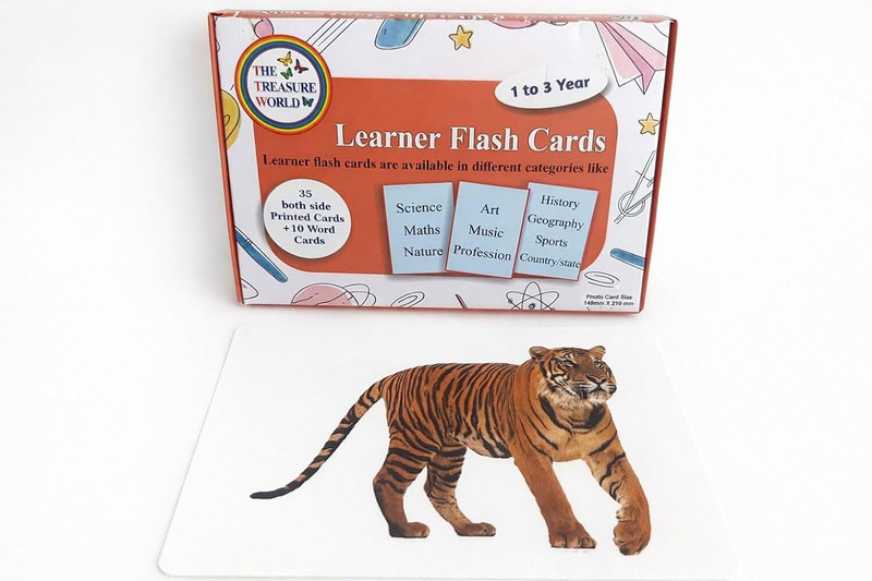 THE TREASURE WORLD Educational Flashcards(Multicolor)