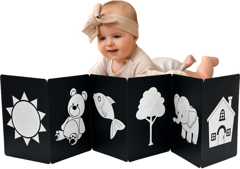 Busy Bubb New Born Flash Cards | 12 Objects for Visual Stimulation | Self Standing Cards(Black)