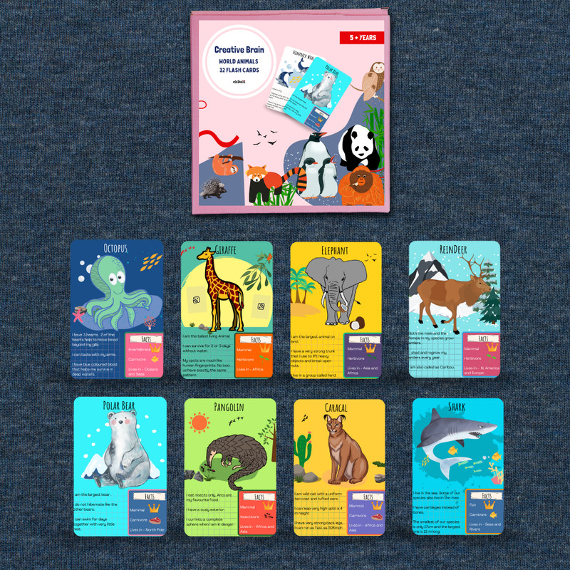 ekdali Safari Fun Animal Flashcards: Interactive Learning for Kids(Multicolor)