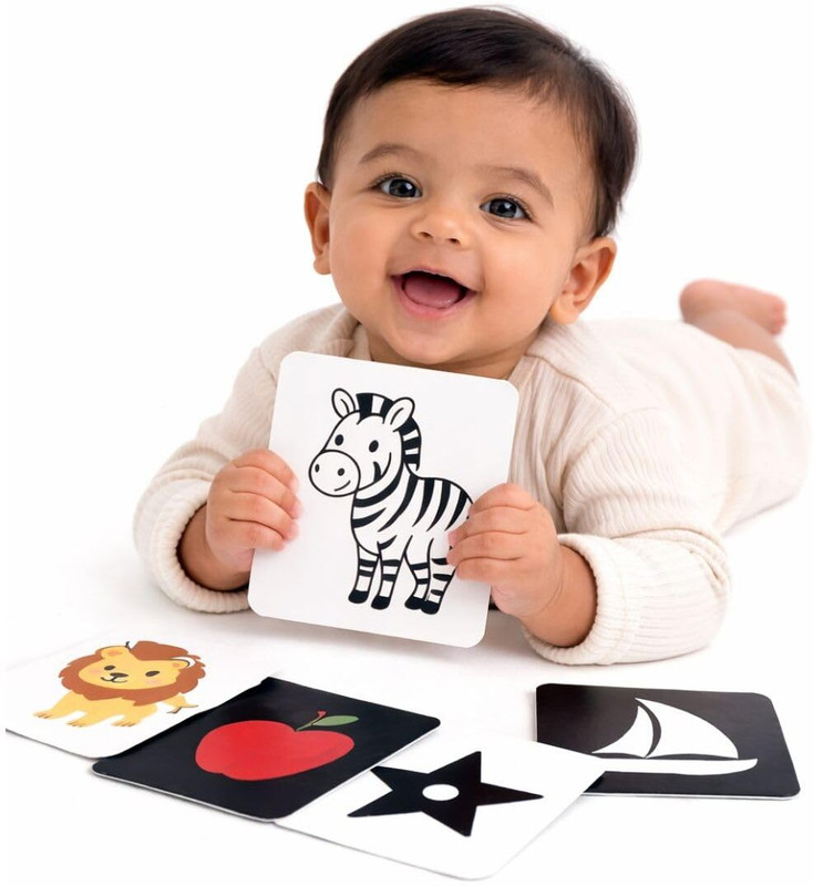 Clever Fox Funlab Baby Flash Cards for Newborn | 3-Stage High Contrast to Color(Multicolor)