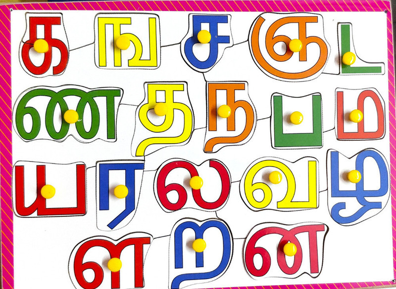 APD Tamil Consonants Wooden Puzzle Board | Tamil Alphabet Wooden Puzzle with Knobs(Multicolor)