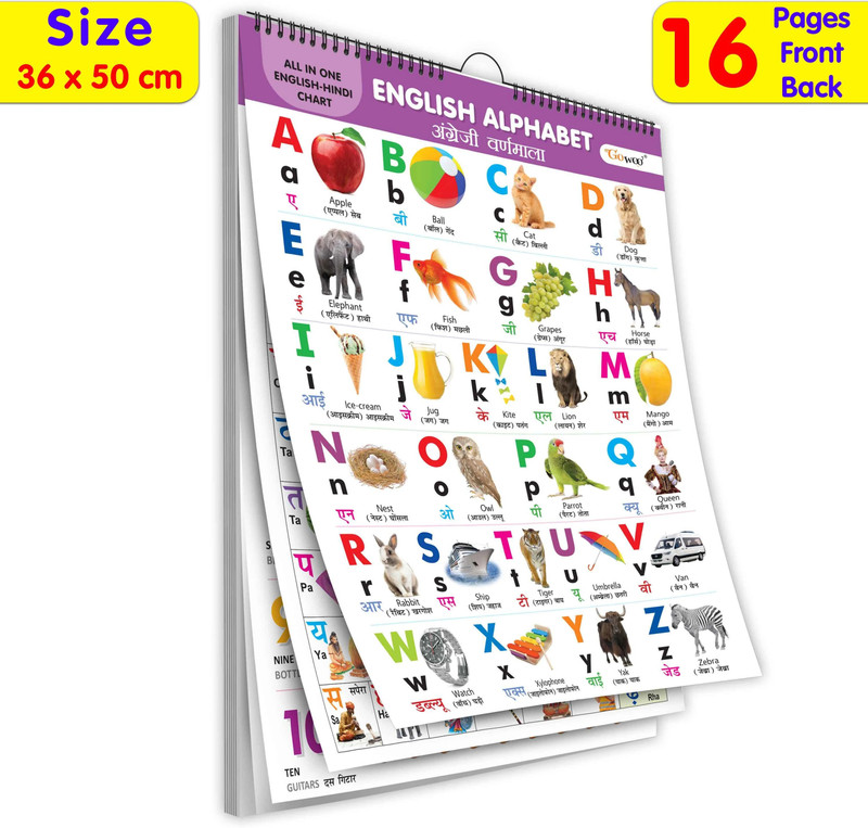ZEQTOS ENGLISH-HINDI Chart For Kids (16 Charts ) Children Spiral Wall Picture Chart(Purple)