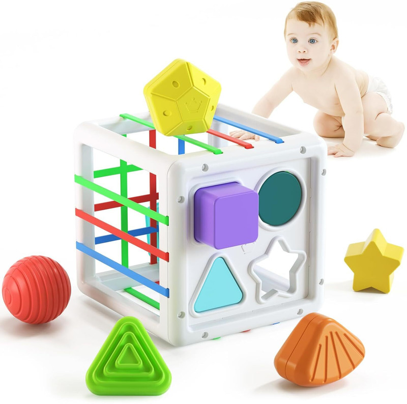 BD STORE Montessori Toys for 1 Year Old Boy Girl Gifts, Shape Sorter Sensory Bin Toys(Multicolor)