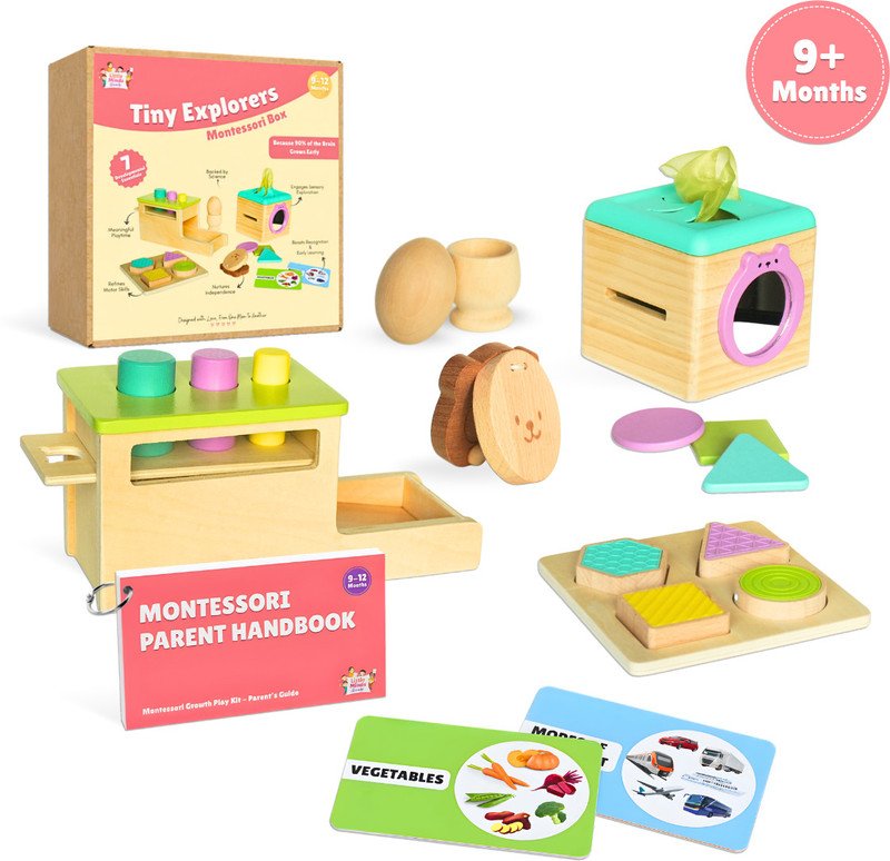 Little Minds at Work Tiny Explorer Montessori Kit (9–12Months)| Baby Sensory & Skill Development Toys(Multicolor)