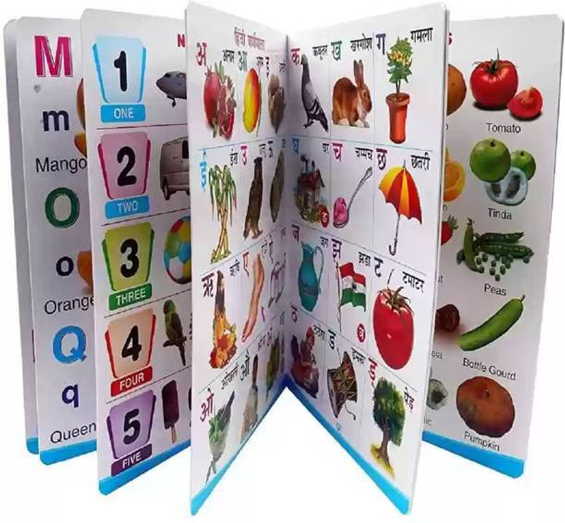 GAMLOID All in one for Pre-nursery to Primary Kids (My Favourite Big Plastic Board Book)(Multicolor)
