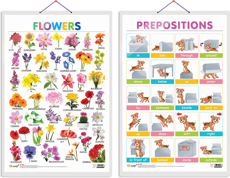GO WOO Pack of 2 Flowers and PREPOSITIONS Educational charts(White)