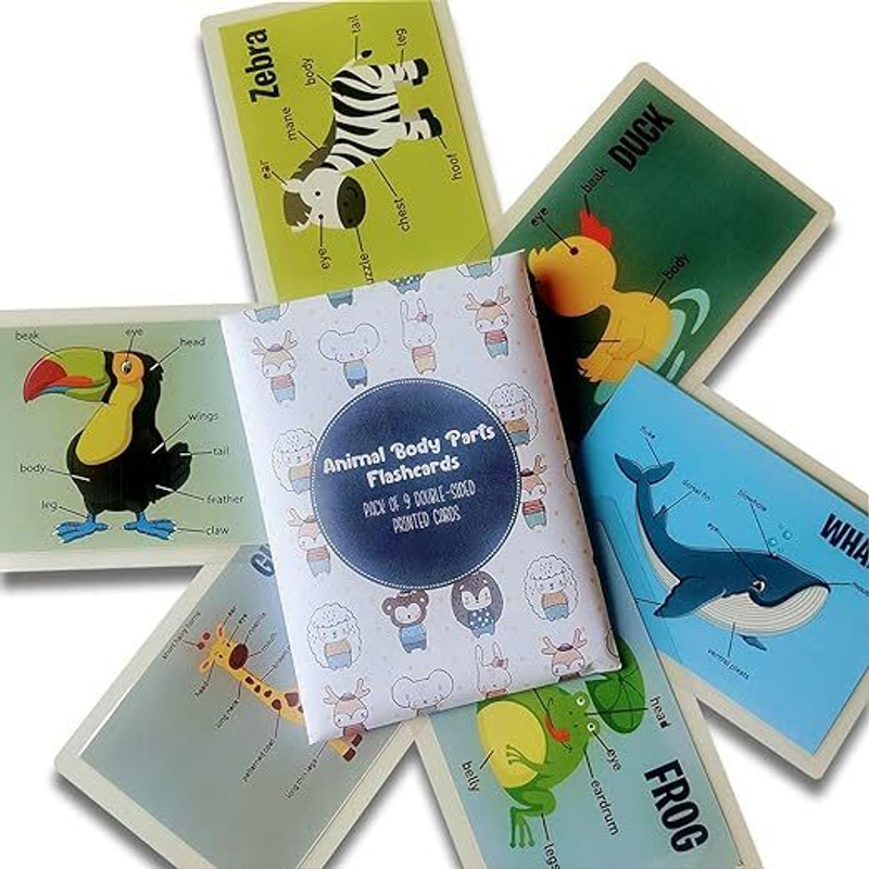 doxbox Animal Body Parts Flashcards- Pack of 9(Multicolor)