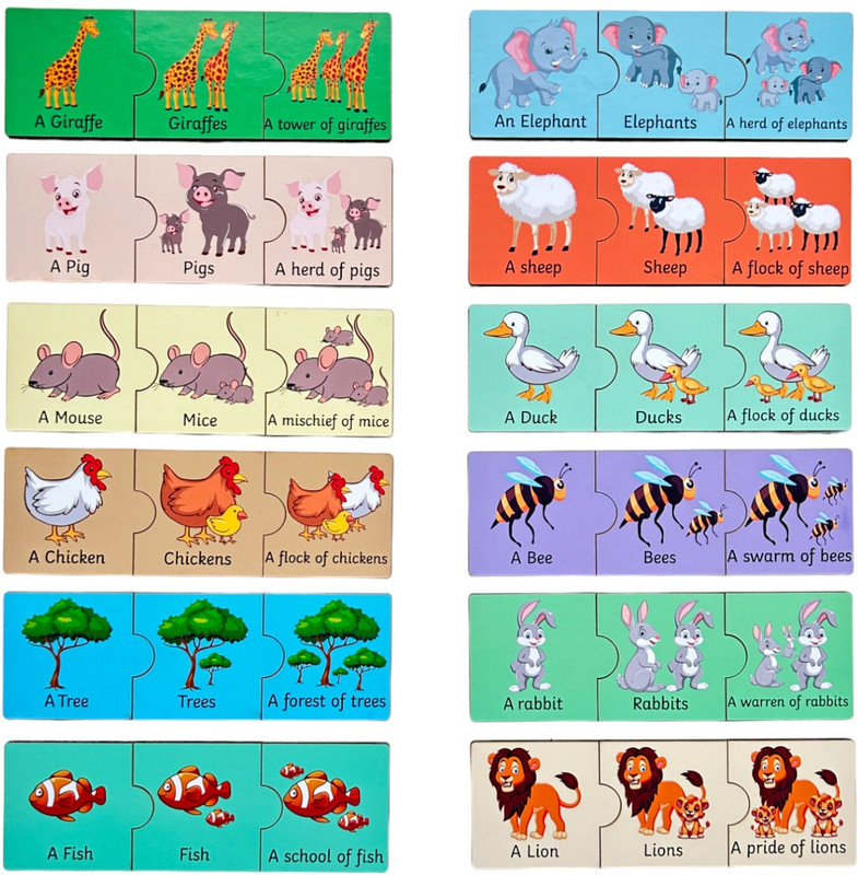 kiddiwinks Singular plural collective noun(Multicolor)