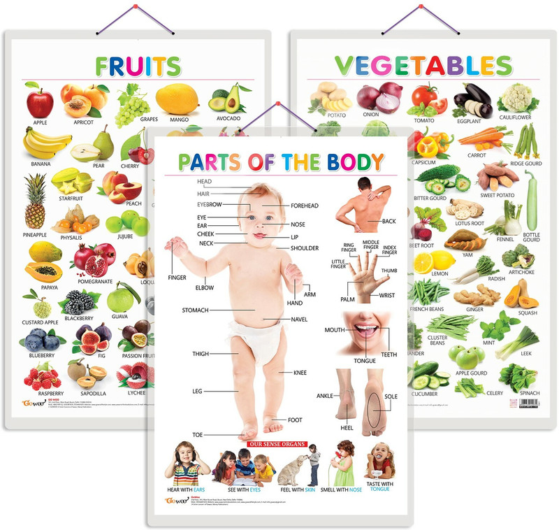 GO WOO Pack of 3 Fruits, Vegetables and Parts of the Body Educational charts(Green)