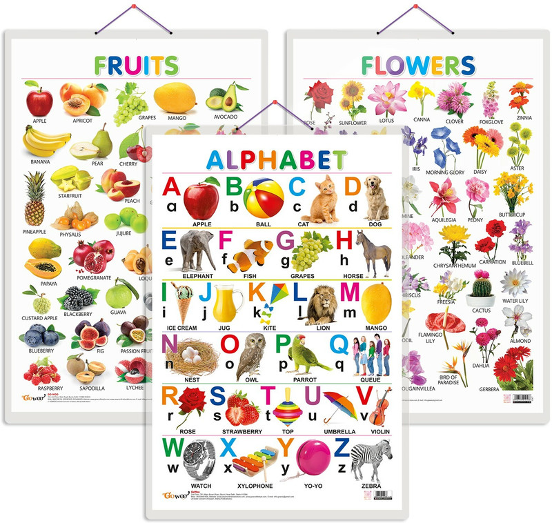 GO WOO Pack of 3 Alphabet, Fruits and Flowers Educational charts(Green)