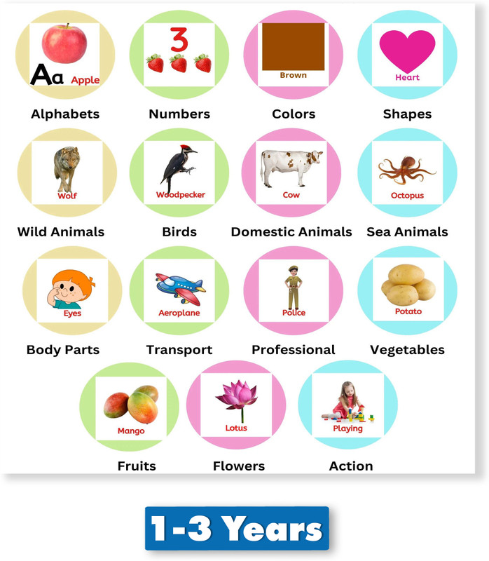 Sandrone All in One Flash Cards for Kids(Non-Tearable flashcards-Water Proof)(Multicolor)
