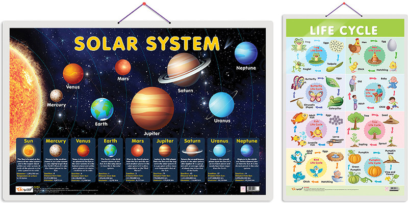 GO WOO Pack of 2 Solar System and Life Cycle Educational charts(Blue)