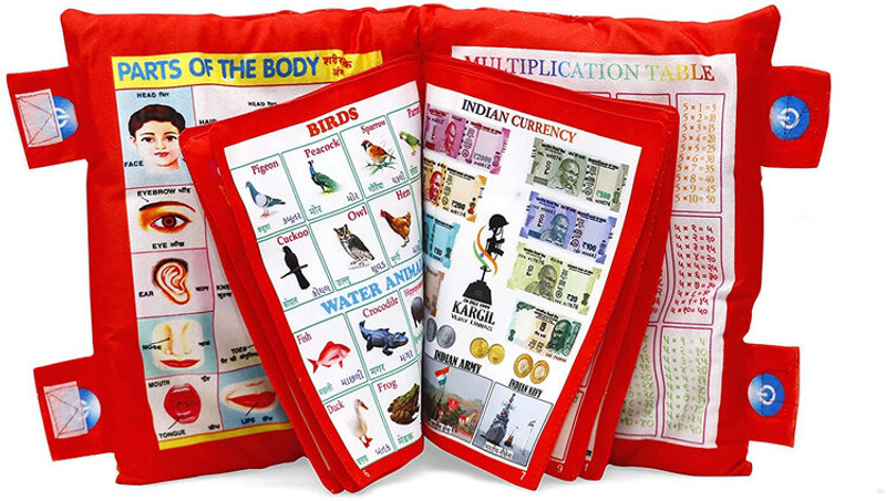 Dorytoys study toys(Multicolor)