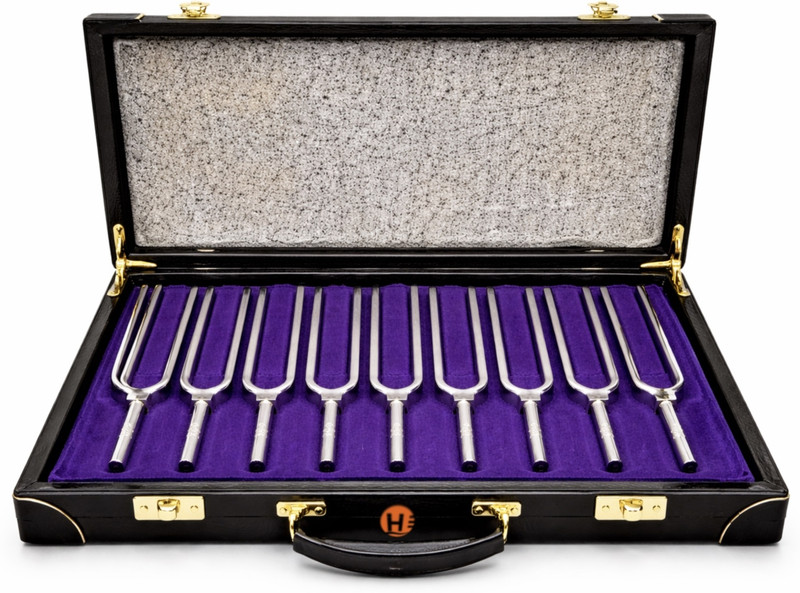 Harrison Tuning Fork Set of 8 with Case for Physics Lab Experiments(Black)