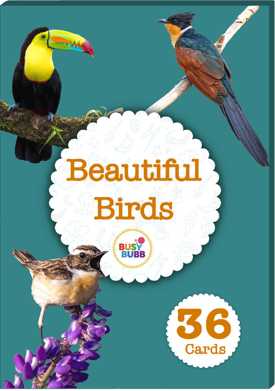 Busy Bubb Beautiful Birds Flash Cards | 36 Laminated Cards(Multicolor)