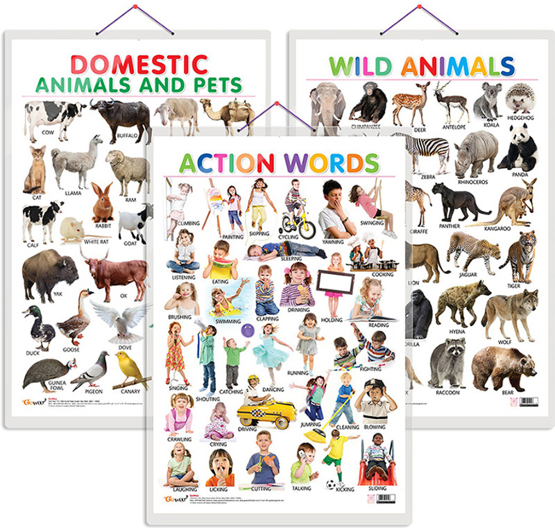 GO WOO Pack of 3 Domestic Animals and Pets, Wild Animals and Action Words charts(White)