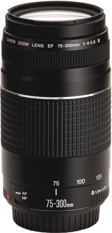 Canon EF 75-300mm f/4-5.6 iii Telephoto Zoom  Lens(Black, 17-70 mm)