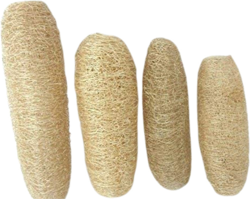 JEOGA Loofah(Pack of 5, Brown)