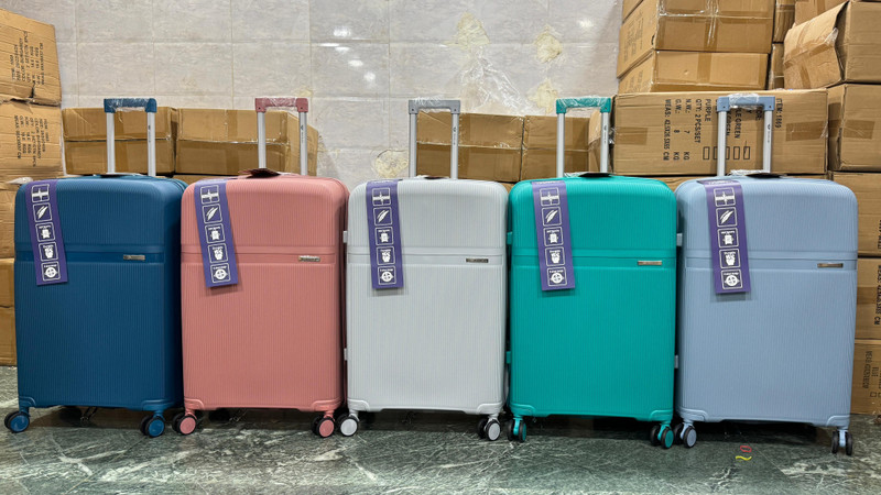 FLYLITE Suitcase Combo(Brown, Gold, Blue, Purple, Green)