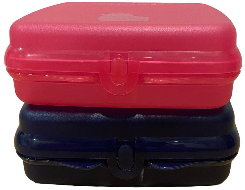 TUPPERWARE Keeptab small 1 Containers Plastic Office Lunch Box(500 ml)