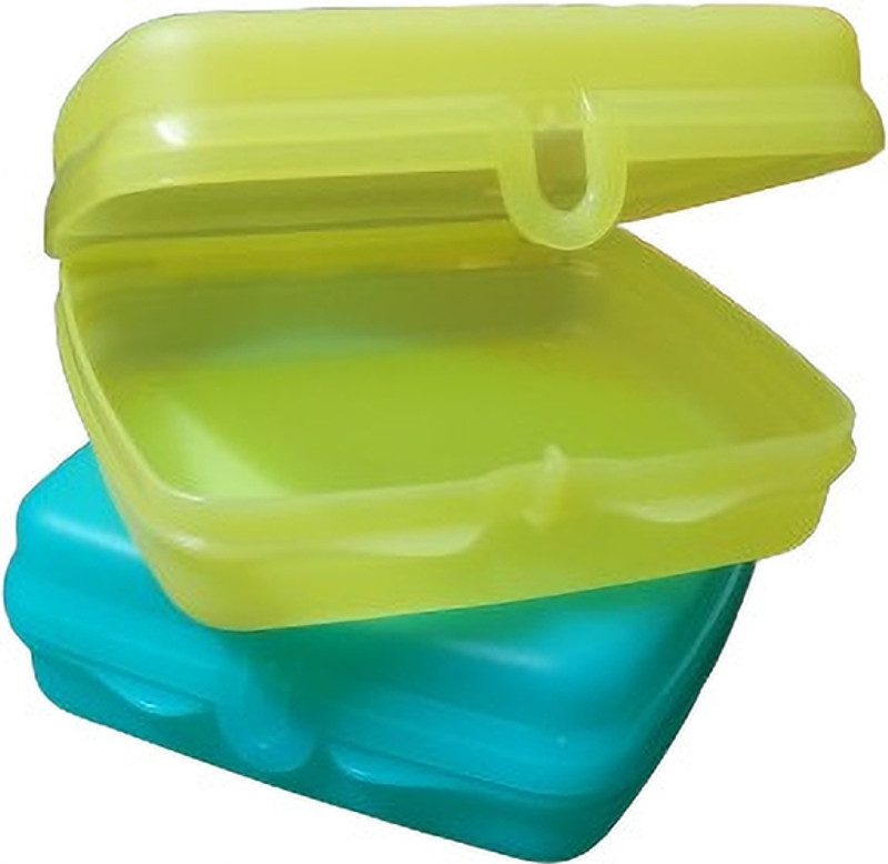 TUPPERWARE Plastic sandwich keeper set of 2 2 Containers Plastic School Lunch Box(500 ml)