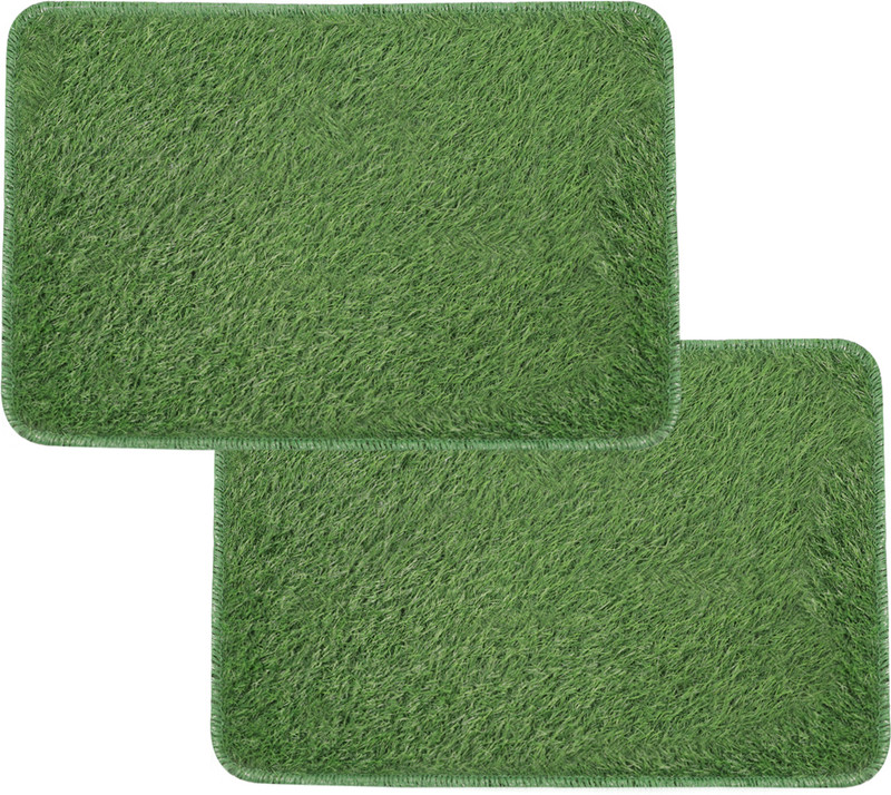 STATUS Artificial Grass Door Mat (Pack of 2)