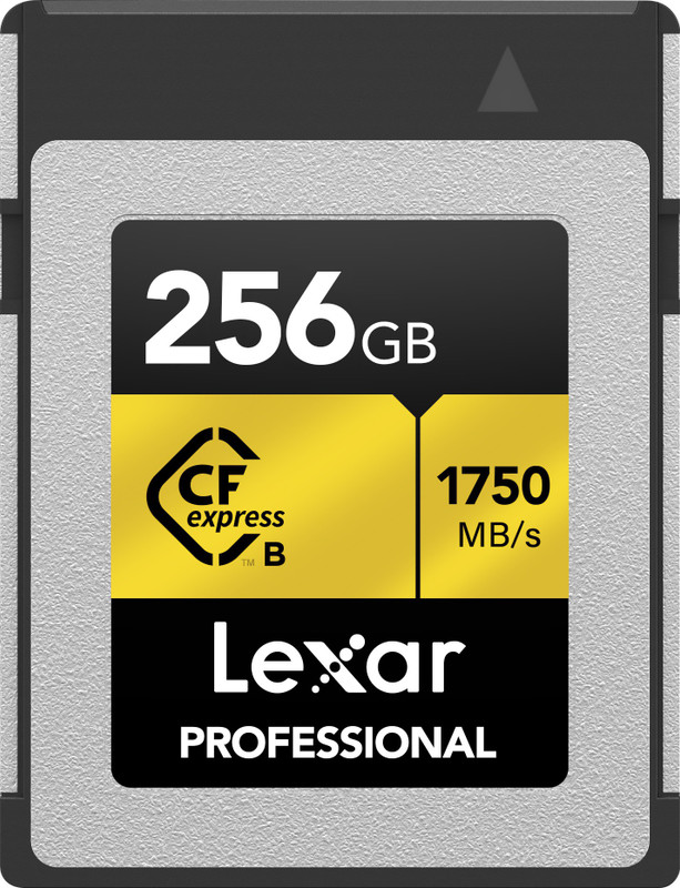 Lexar LCFX10-256CRB Professional 256 CFexpress Class 10 1750 MB/s Memory Card Compatible with Camera