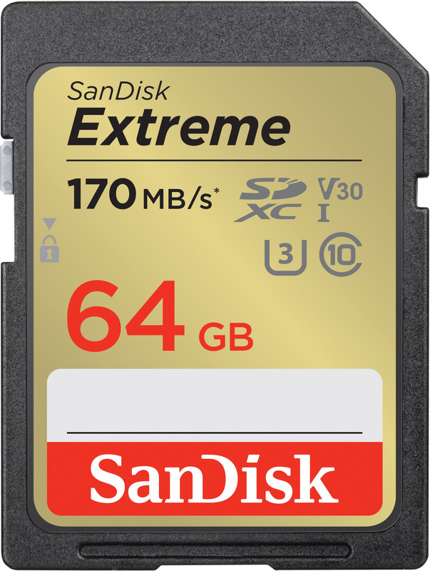 SanDisk SDSDXV2-064G-GNCIN Extreme 64 GB SDHC Class 10 170 MB/s Memory Card Compatible with Camera
