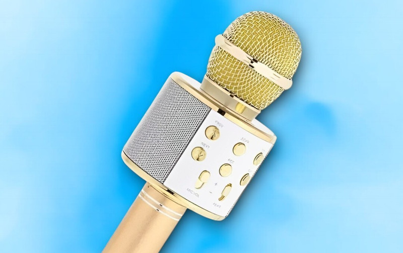 3BAAN X95 KARAOKE MIC WITH SPEAKER-FM Radio Voice Changer Rechargeable Microphone Microphone