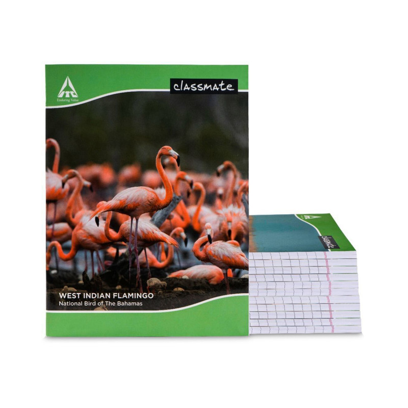 Classmate Notebook Regular Notebook Single Line 172 Pages(Multicolor, Pack of 12)