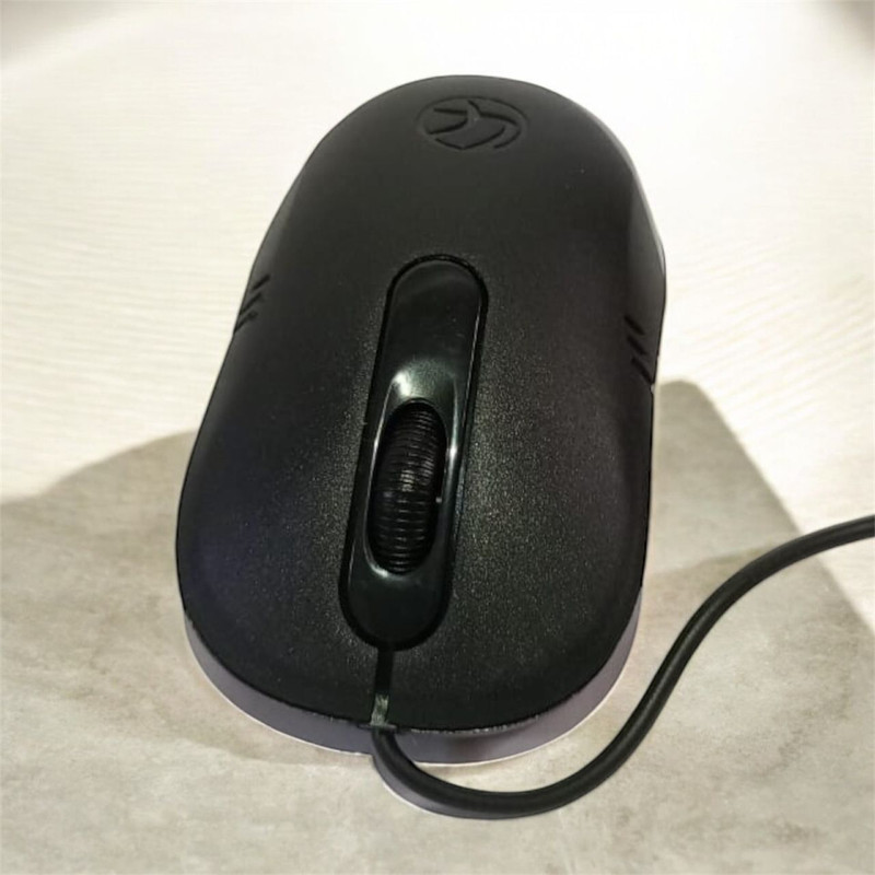 Bmtech Lapcare L-50 Wired USB Optical Mouse, 3 Buttons, 1200 DPI, Ambidextrous – Black Wired Right Handed Optical Mouse(USB 2.0, Black)